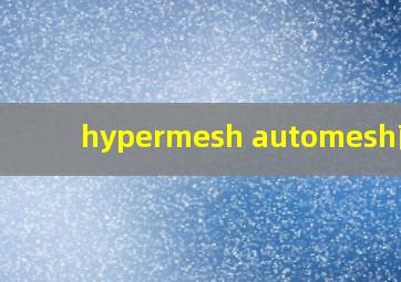 hypermesh automesh面板